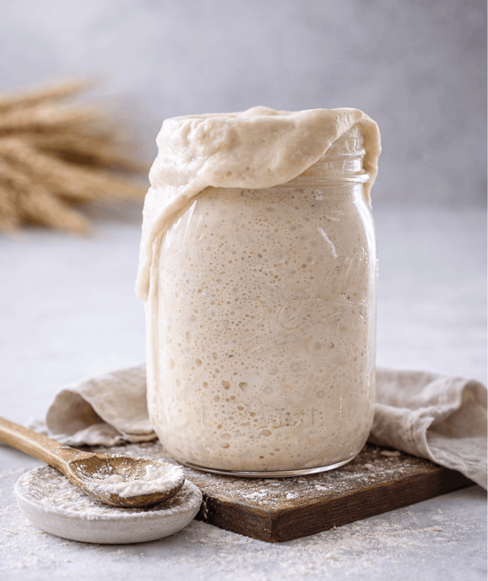 Sourdogh RUSTIC LOAF